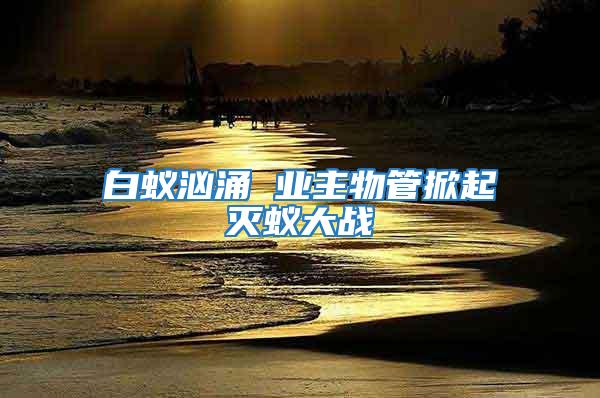 白蟻洶涌 業主物管掀起滅蟻大戰