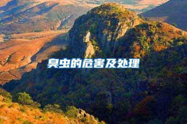 臭蟲的危害及處理