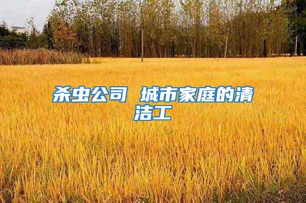 殺蟲公司 城市家庭的清潔工
