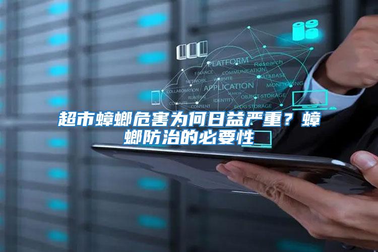 超市蟑螂危害為何日益嚴重？蟑螂防治的必要性