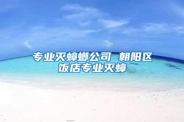 專業滅蟑螂公司 朝陽區飯店專業滅蟑