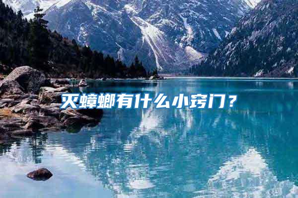 滅蟑螂有什么小竅門？
