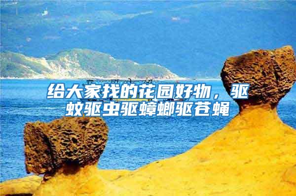 給大家找的花園好物，驅蚊驅蟲驅蟑螂驅蒼蠅