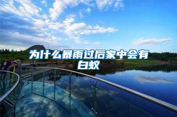 為什么暴雨過后家中會有白蟻