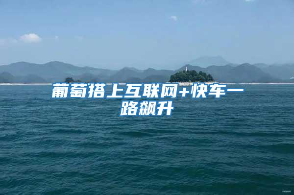 葡萄搭上互聯網+快車一路飆升