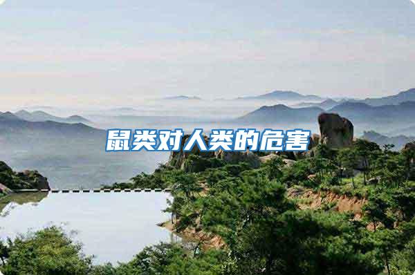 鼠類對人類的危害