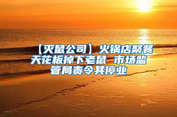 【滅鼠公司】火鍋店聚餐天花板掉下老鼠 市場監管局責令其停業