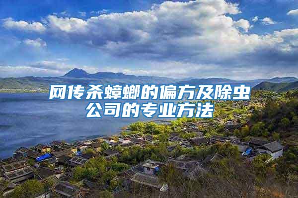 網傳殺蟑螂的偏方及除蟲公司的專業方法