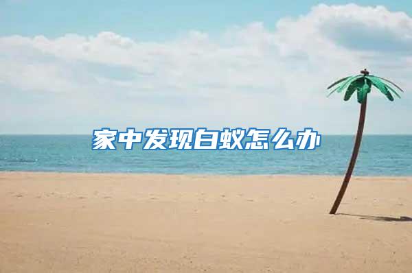 家中發現白蟻怎么辦