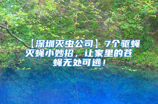 【深圳滅蟲公司】7個驅蠅滅蠅小妙招，讓家里的蒼蠅無處可逃！