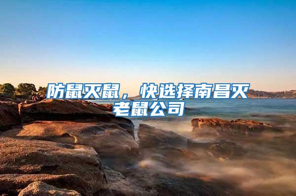 防鼠滅鼠，快選擇南昌滅老鼠公司
