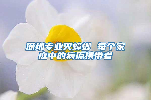 深圳專業(yè)滅蟑螂 每個(gè)家庭中的病原攜帶者
