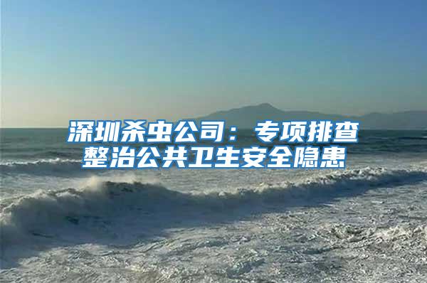 深圳殺蟲公司：專項排查整治公共衛生安全隱患