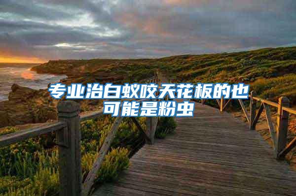 專業治白蟻咬天花板的也可能是粉蟲