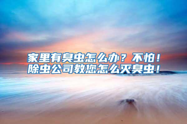 家里有臭蟲怎么辦？不怕！除蟲公司教您怎么滅臭蟲！