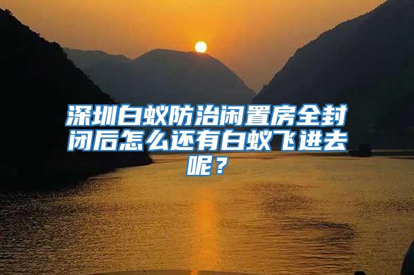 深圳白蟻防治閑置房全封閉后怎么還有白蟻飛進去呢？