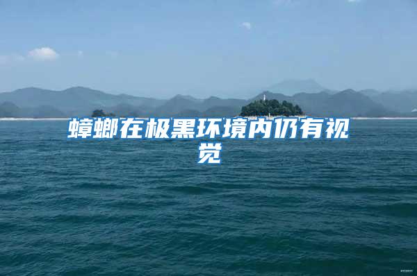 蟑螂在極黑環境內仍有視覺