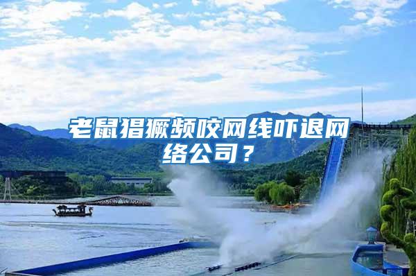 老鼠猖獗頻咬網線嚇退網絡公司？