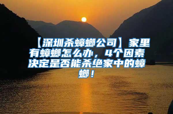 【深圳殺蟑螂公司】家里有蟑螂怎么辦，4個因素決定是否能殺絕家中的蟑螂！