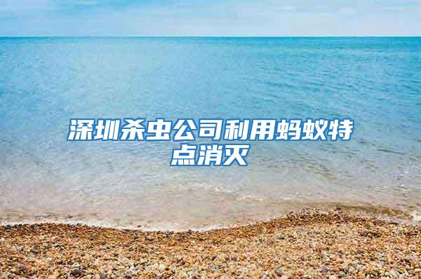 深圳殺蟲公司利用螞蟻特點消滅