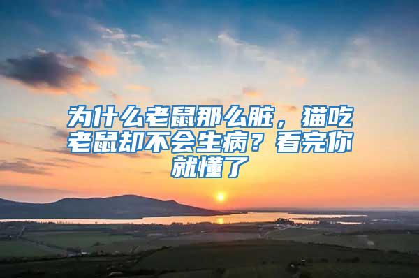 為什么老鼠那么臟，貓吃老鼠卻不會生病？看完你就懂了