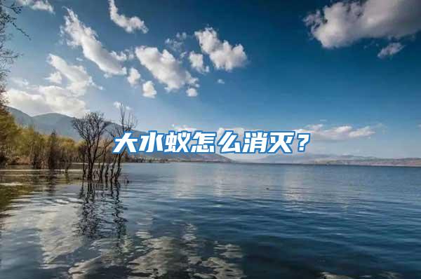 大水蟻怎么消滅？