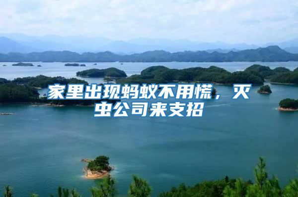 家里出現(xiàn)螞蟻不用慌，滅蟲公司來支招