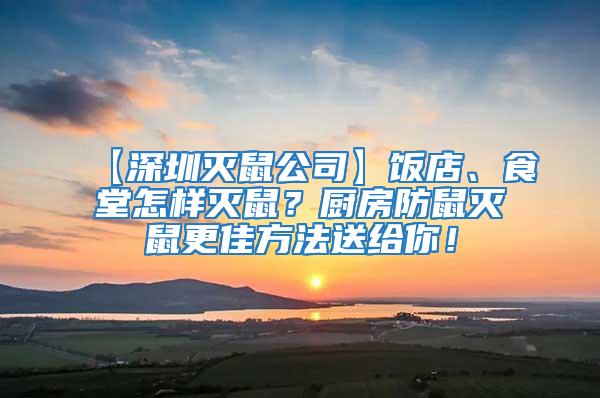 【深圳滅鼠公司】飯店、食堂怎樣滅鼠？廚房防鼠滅鼠更佳方法送給你！