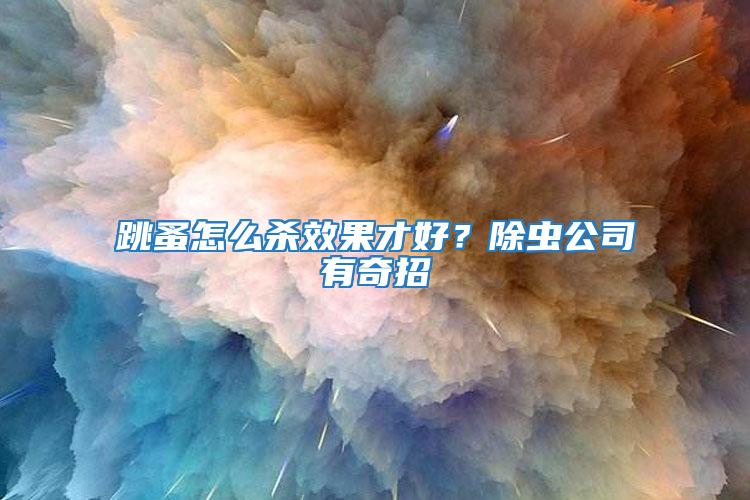 跳蚤怎么殺效果才好？除蟲公司有奇招