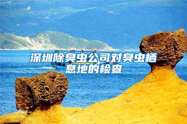 深圳除臭蟲公司對臭蟲棲息地的檢查