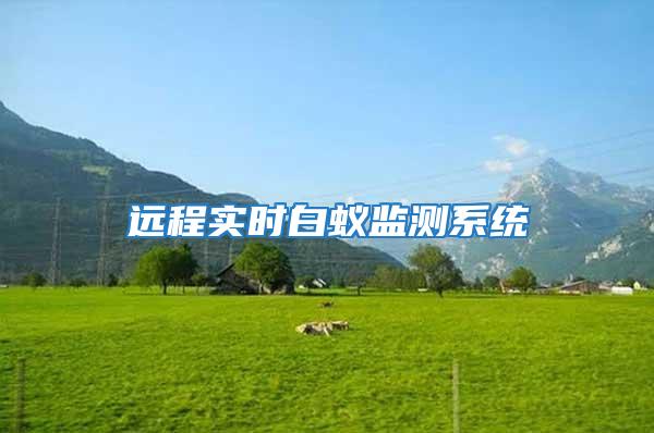 遠程實時白蟻監測系統
