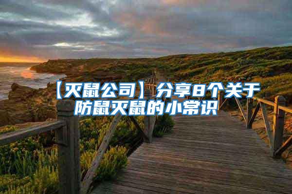 【滅鼠公司】分享8個關(guān)于防鼠滅鼠的小常識