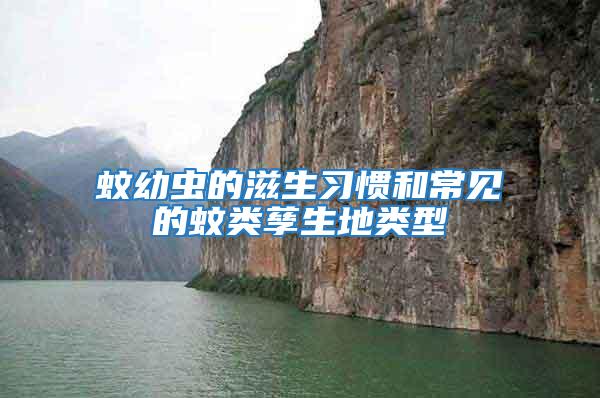 蚊幼蟲的滋生習慣和常見的蚊類孳生地類型