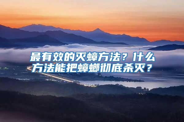 最有效的滅蟑方法？什么方法能把蟑螂徹底殺滅？