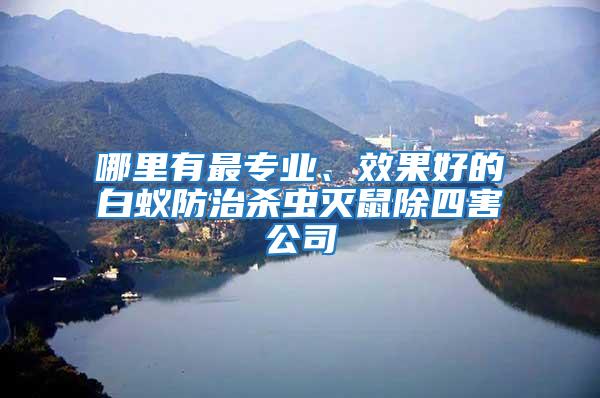 哪里有最專業、效果好的白蟻防治殺蟲滅鼠除四害公司