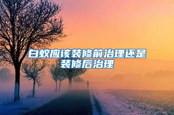 白蟻應該裝修前治理還是裝修后治理