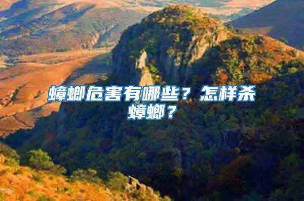 蟑螂危害有哪些？怎樣殺蟑螂？