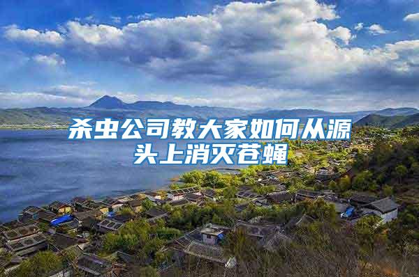 殺蟲公司教大家如何從源頭上消滅蒼蠅