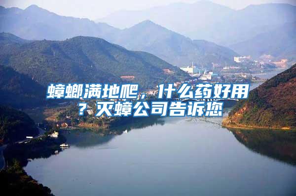 蟑螂滿地爬，什么藥好用？滅蟑公司告訴您