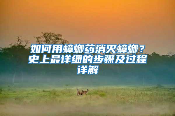 如何用蟑螂藥消滅蟑螂？史上最詳細的步驟及過程詳解