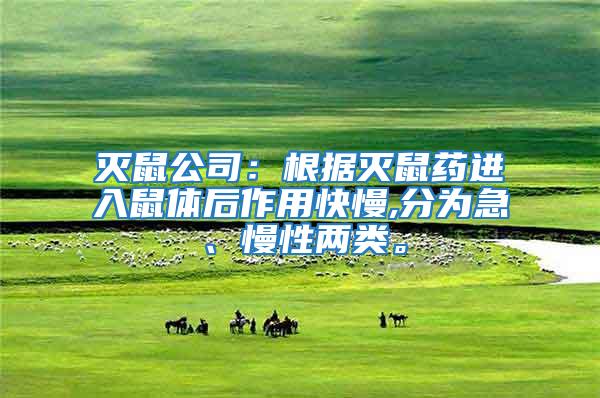 滅鼠公司：根據(jù)滅鼠藥進入鼠體后作用快慢,分為急、慢性兩類。