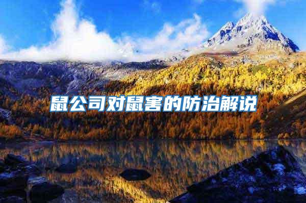 鼠公司對鼠害的防治解說