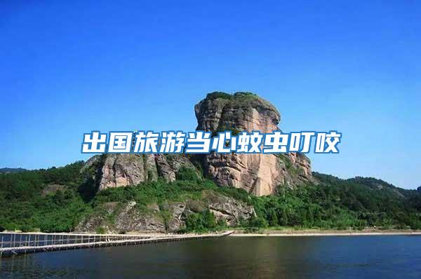 出國旅游當心蚊蟲叮咬