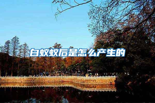白蟻蟻后是怎么產生的