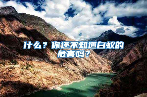 什么？你還不知道白蟻的危害嗎？