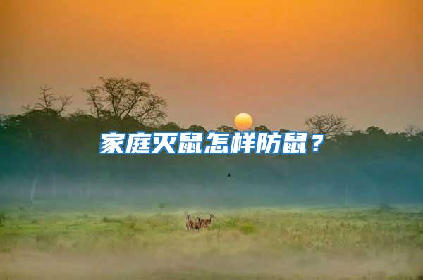 家庭滅鼠怎樣防鼠？