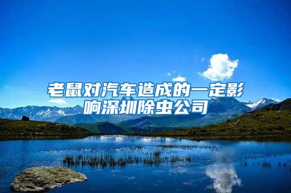 老鼠對(duì)汽車造成的一定影響深圳除蟲公司