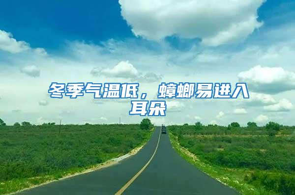 冬季氣溫低，蟑螂易進入耳朵