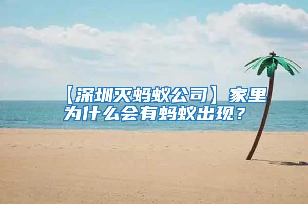 【深圳滅螞蟻公司】家里為什么會有螞蟻出現？
