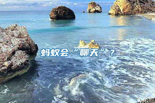 螞蟻會“聊天”？